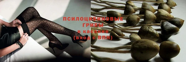 мяу мяу мука Арсеньев