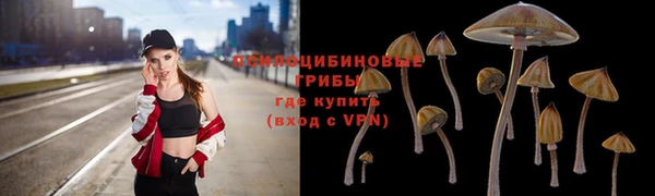 винт Армянск