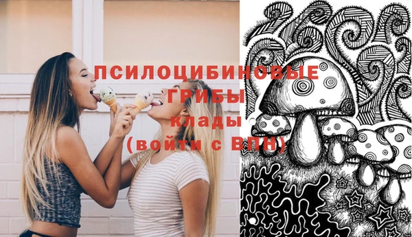 мяу мяу мука Арсеньев