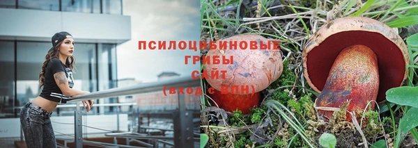 винт Армянск