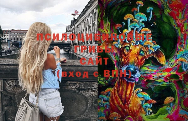 мяу мяу мука Арсеньев